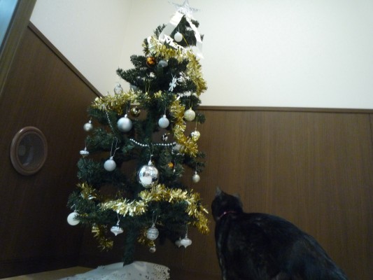 %e3%82%af%e3%83%aa%e3%82%b9%e3%83%9e%e3%82%b92016-1