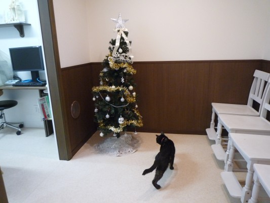 %e3%82%af%e3%83%aa%e3%82%b9%e3%83%9e%e3%82%b92016-3