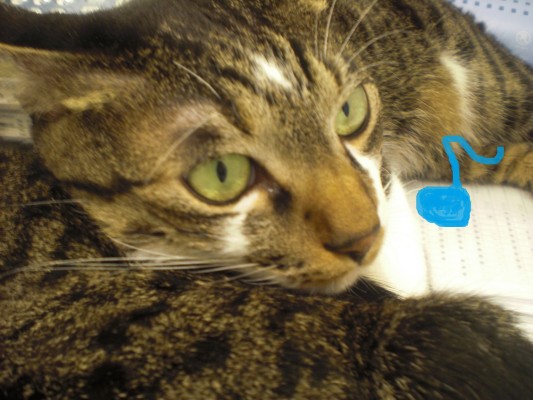 CIMG1263 - コピー