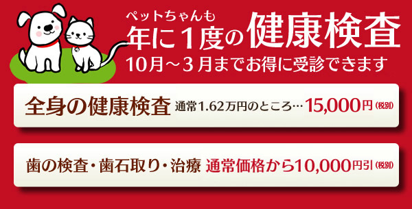 秋の健康検査キャンペーン