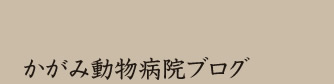 かがみ動物病院ブログ