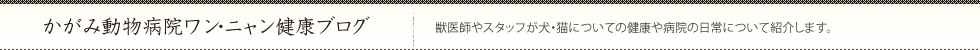 かがみ動物病院ワン・ニャン健康ブログ