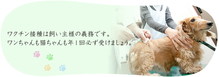 病気・怪我・体調不良など、些細なことでもお気軽にご連絡ください。