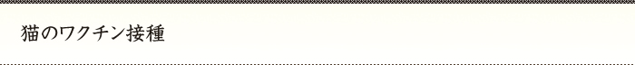 猫のワクチン接種