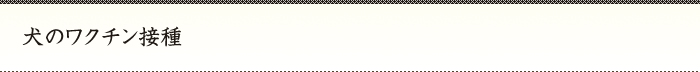 犬のワクチン接種