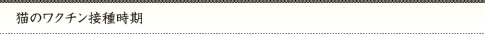 猫のワクチン接種時期
